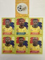 Panini WM 2026 Südafrika 