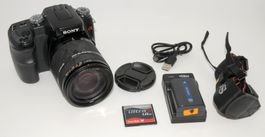Sony alpha 100 mit DT 3.5-6.3/18-200mm  2330/38