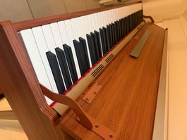 Donner E-Piano DDP-80Plus Neu