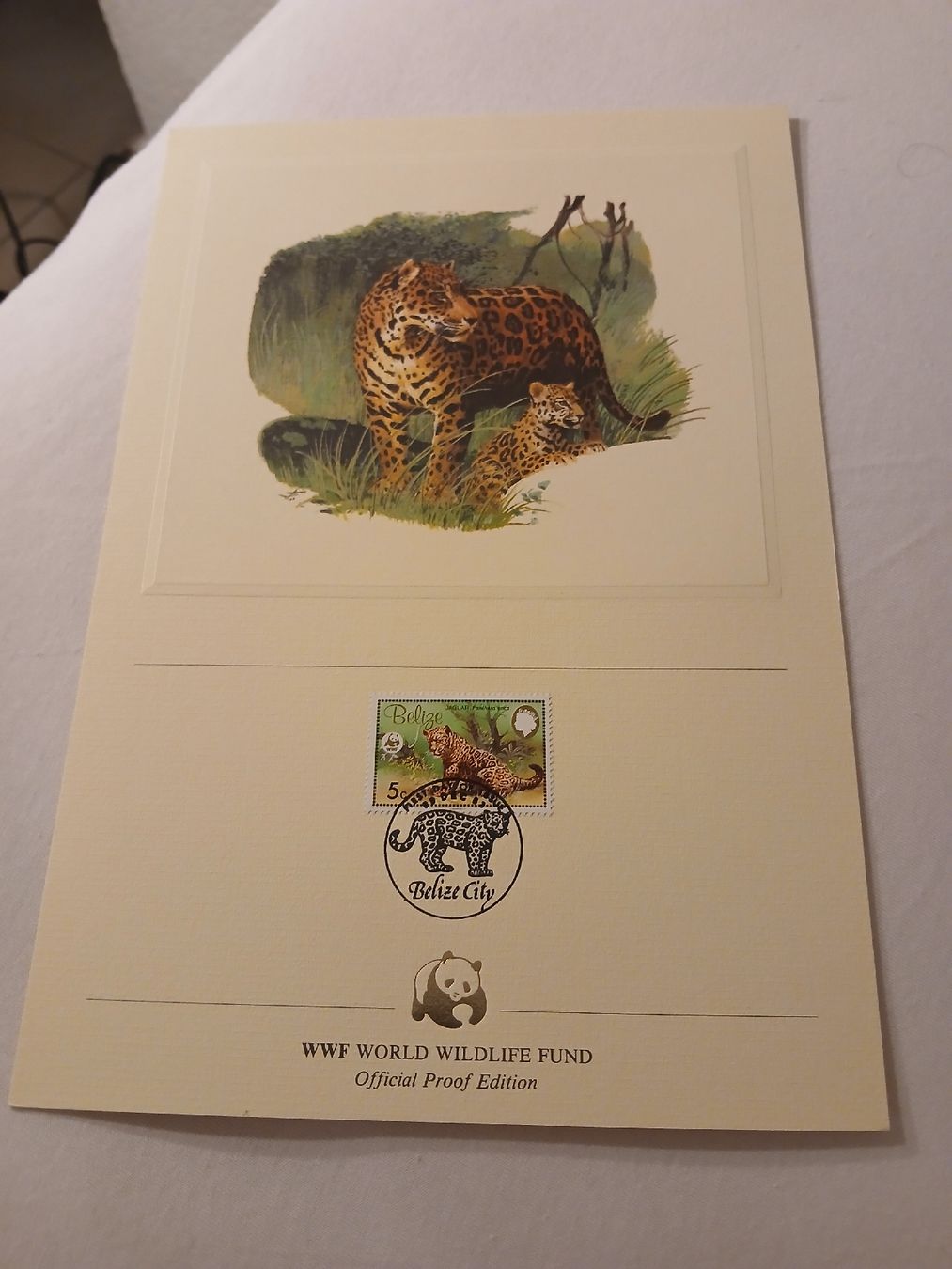Tutti i francobolli: WWF Belize - Carte avec timbre Jaguar, édition limitée – Usato da Marly venduto da globetrotter1723