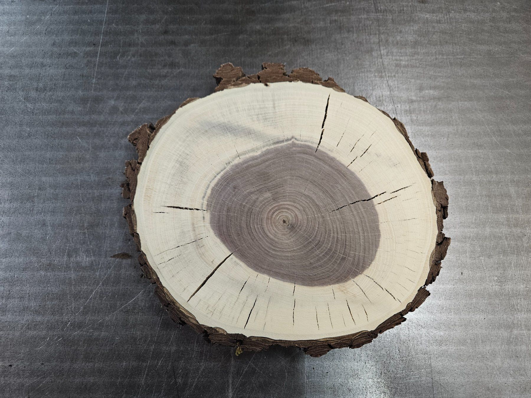 Holzartikel: Nussbaum Holz Baumscheibe – Neu (gemäss Beschreibung) aus Schangnau von egli6.2 2