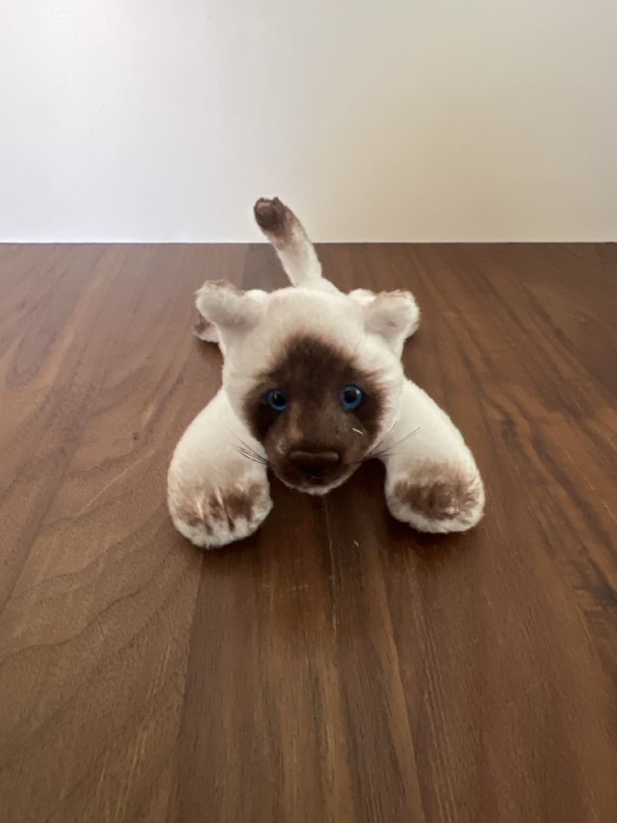 Jouets: Kleine Plüschtier Magnet Siam Katze – D'occasion à Altdorf UR par JanAil 1