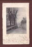 GENEVE - La Treille - 1903