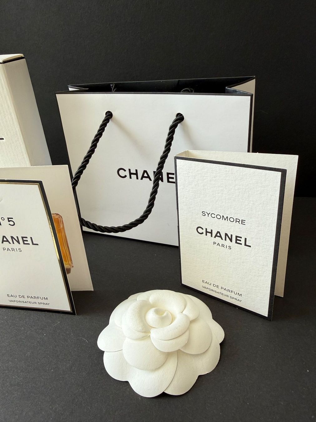 Chanel Borse: CHANEL - Parfumminis  Papiertasche Kamelie Geschenksband – Nuovo (secondo la descrizione) da St. Gallen venduto da aracne 3