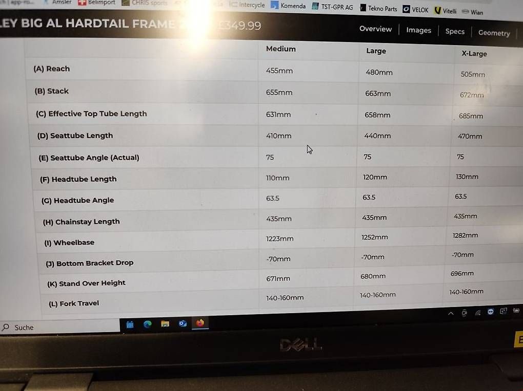 Pezzi di ricambio: Ragley Hardtail Rahmen – Usato da Schänis venduto da Frau.Holle 3