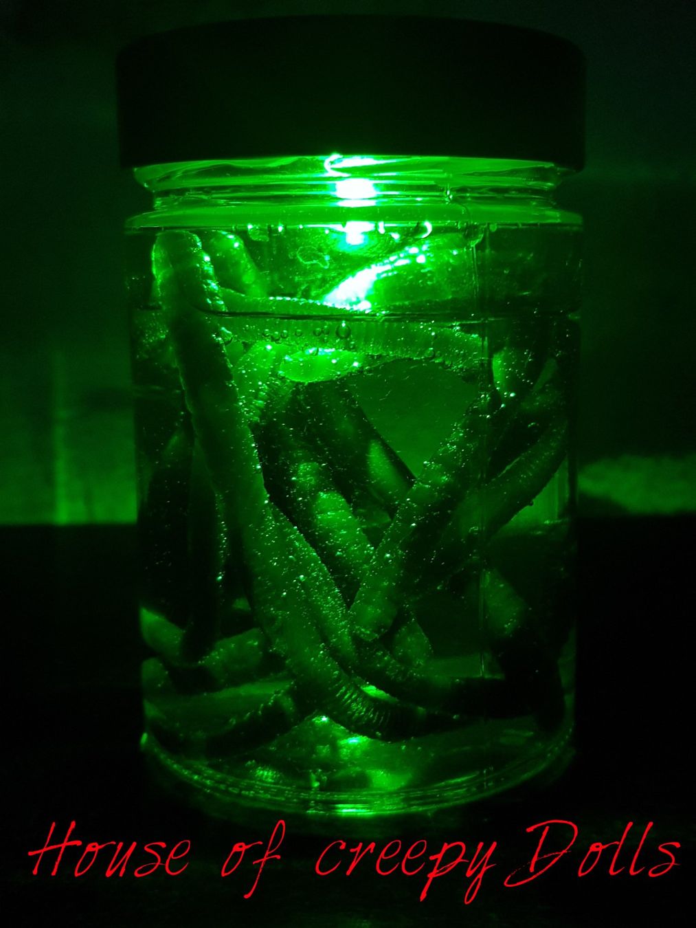 Bicchieri: HORROR / HALLOWEEN GLAS MIT WÜRMER – Nuovo e nell'imballaggio originale da Root venduto da LifestyleAccessoires 1