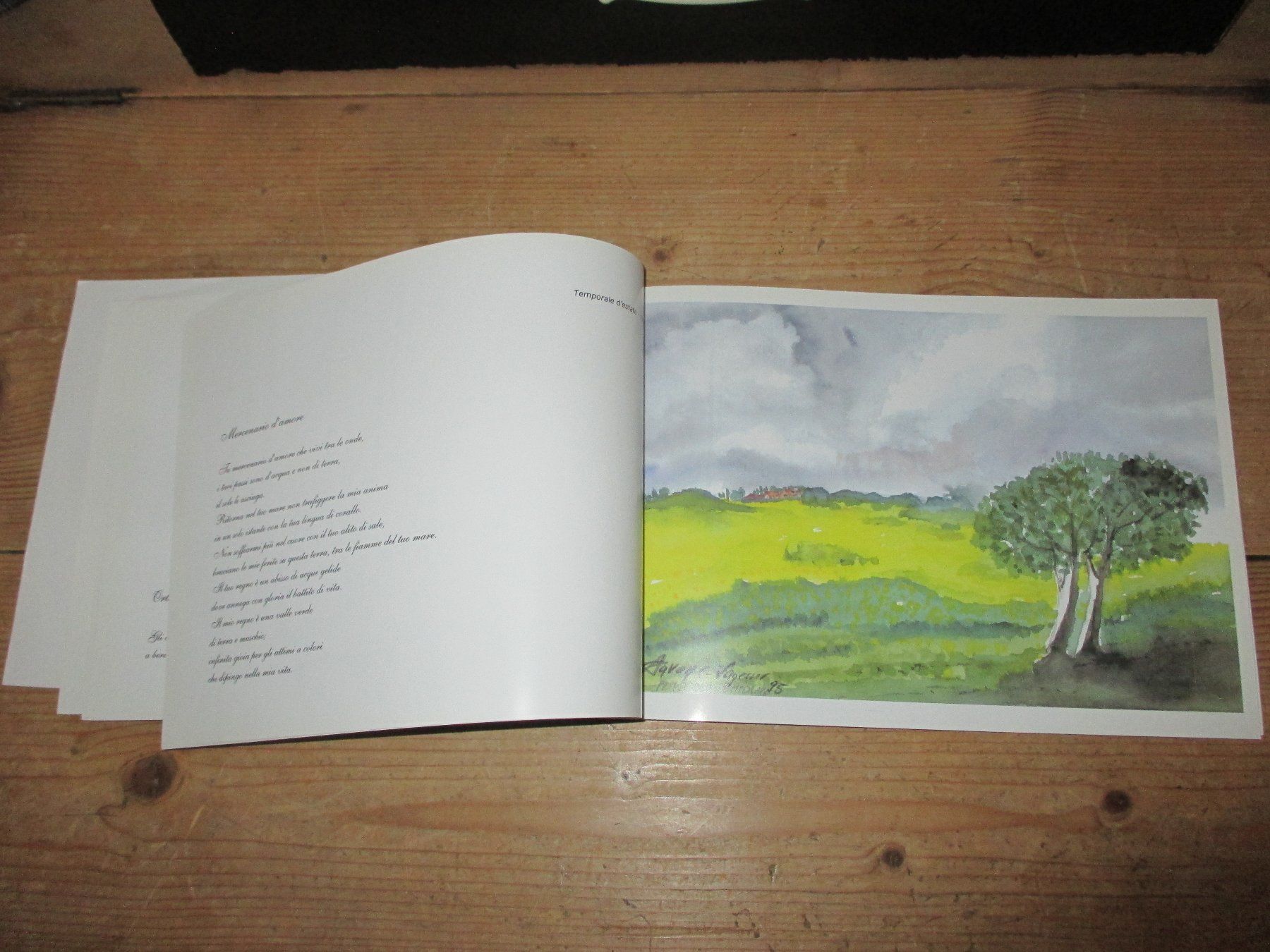 Libri: Anna Pavone PoesiArte – Usato da Flims - Dorf venduto da Stagediver 2