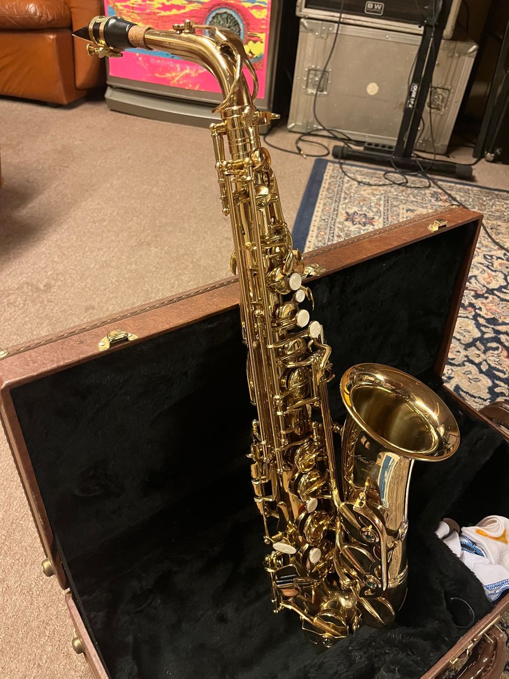 Musikinstrumente: Altsaxophon – Defekt aus Winterthur von yelling_at_cloud