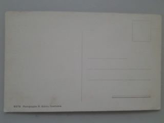 Cartoline postali: Kleine Scheidegg – Usato da Sargans venduto da nicsam1815 1
