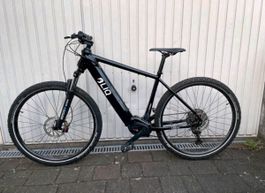 E-Mountainbike LIQ Bosch Performance cx Motor