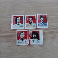 Panini Cola Legend's (5 Stück) 2018