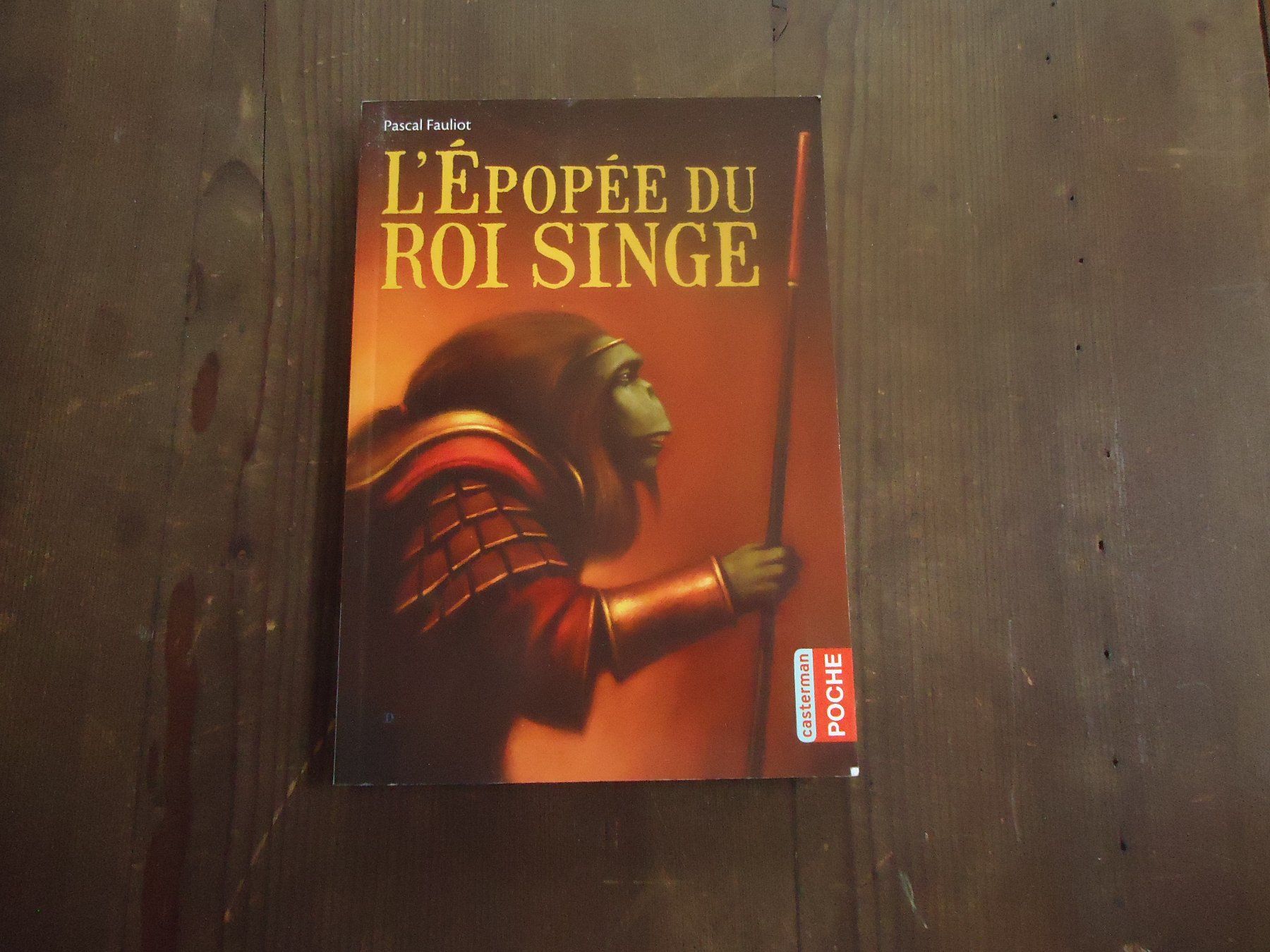 Libri: L'épopée du roi singe - 10 ans – Usato da Vessy venduto da bm.par