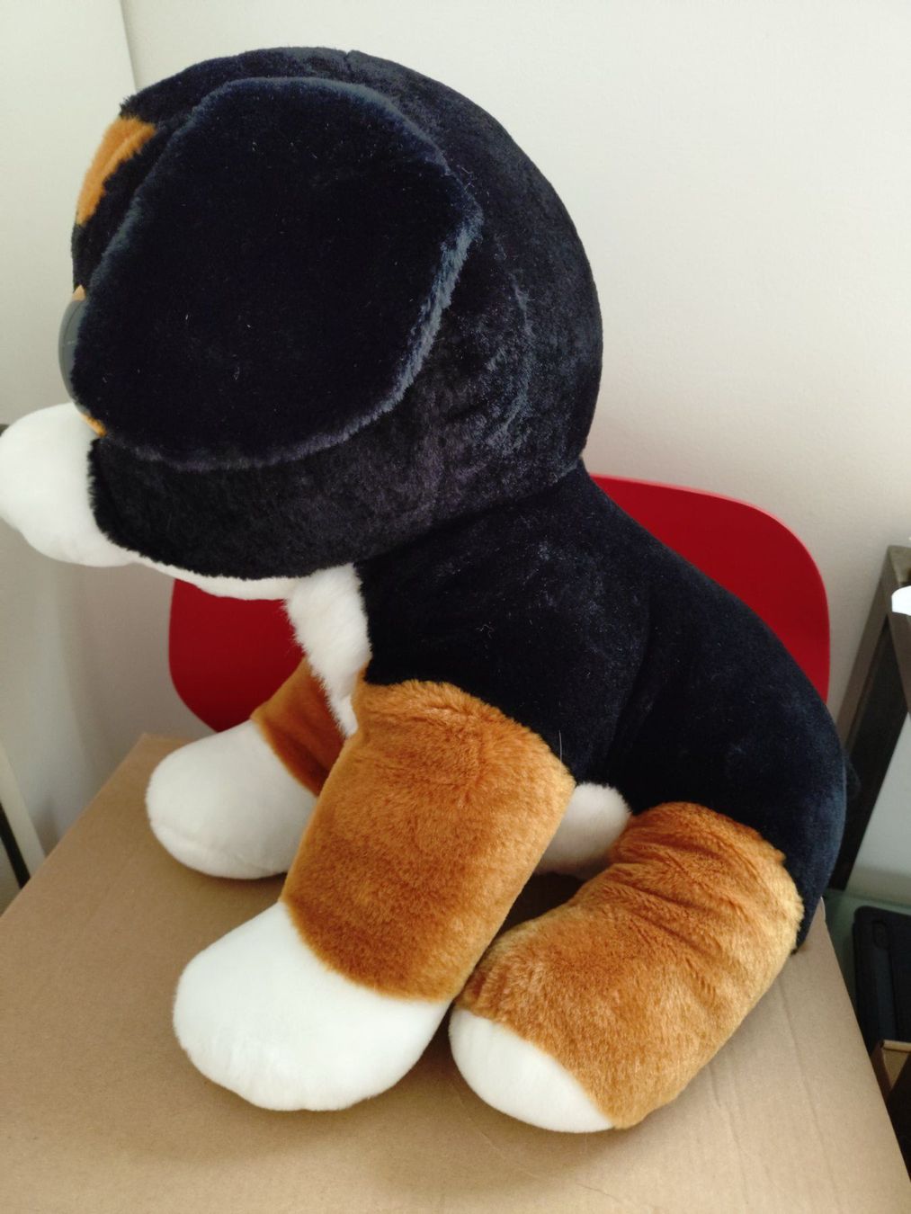 Ty Giocattoli: Kuscheltier Berner Sennenhund 43 cm – Usato da Bottmingen venduto da Pidi0 3