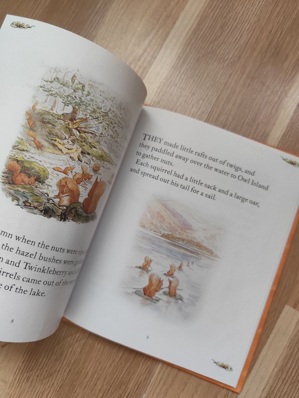 Libri: Beatrix Potter The Tale of Squirrel Nutkin – Usato da Mägenwil venduto da VintageGirly 8