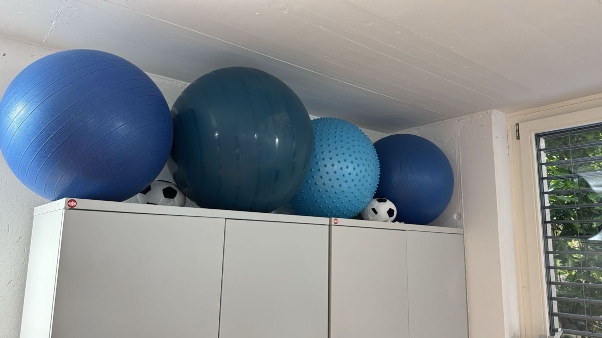 Palloni: Gymnastikball – Usato da zufikon venduto da Jacky.N