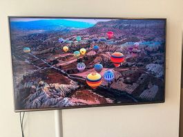 Panasonic 50 Zoll 4K Smart TV (TX-50DXW784)  Top Zustand