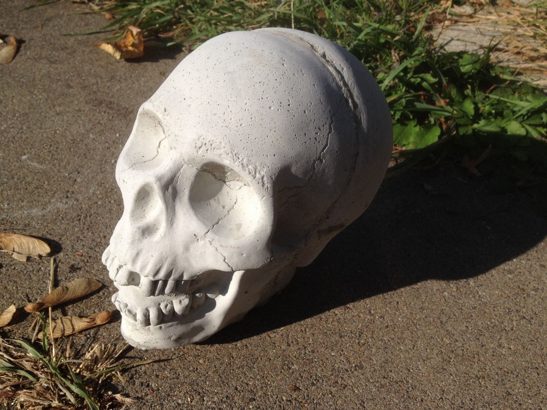 Statuette: totenkopf skull schädel – Usato da Reinach AG venduto da rares75