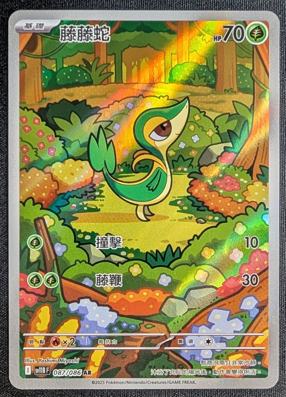 Pokémon Carte collezionabili: Snivy AR Pokemon Card sv11B 087 – Usato da Morges venduto da otaku_trading