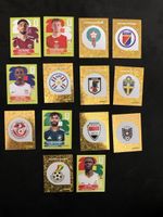 14 Panini WM Sticker