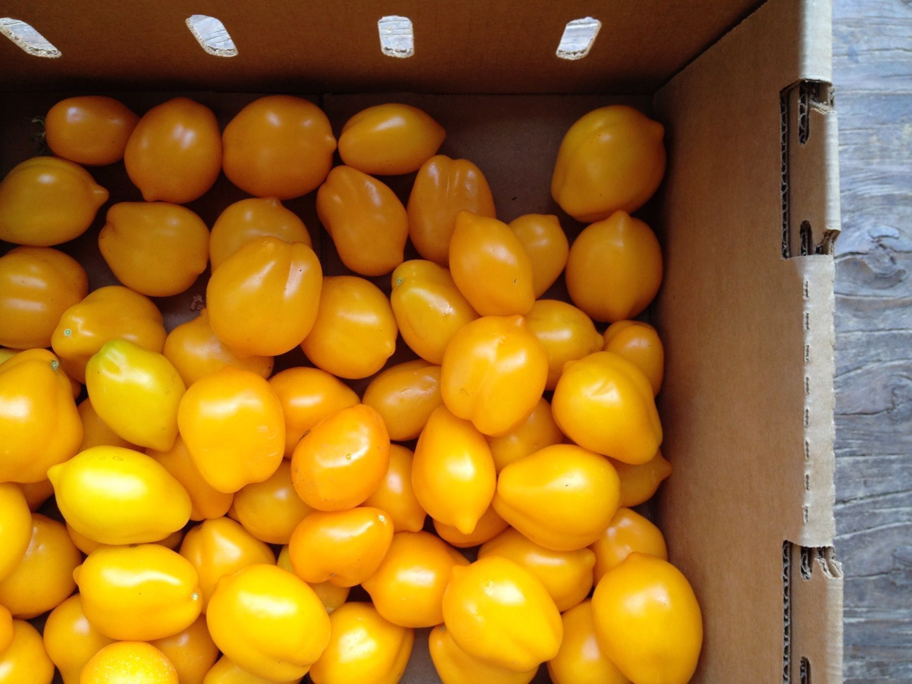 Piante & sementi: 30 Samen Tomate Citrina Lemonplum – Nuovo (secondo la descrizione) da Ehrendingen venduto da VerveinaSamen 1