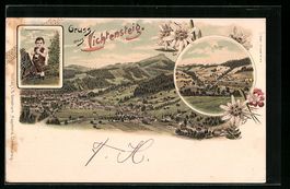 Litho Lichtensteig, Ortsansicht mit Krin
