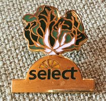E822 - Pin Mondo - Select Kopfsalat