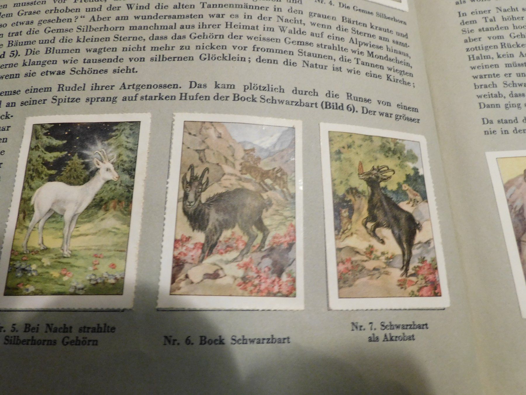Libri: Sammelbuch Chocolade Nestle Peter Cailler Kohler 1932  kompl – Usato da Sursee venduto da 76 4