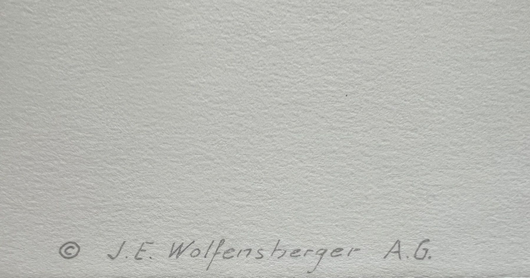 Grafica & Litografie: Emil Cardinaux, Handlithografie, nummeriert – Usato da Rain venduto da Pic-Ass 4