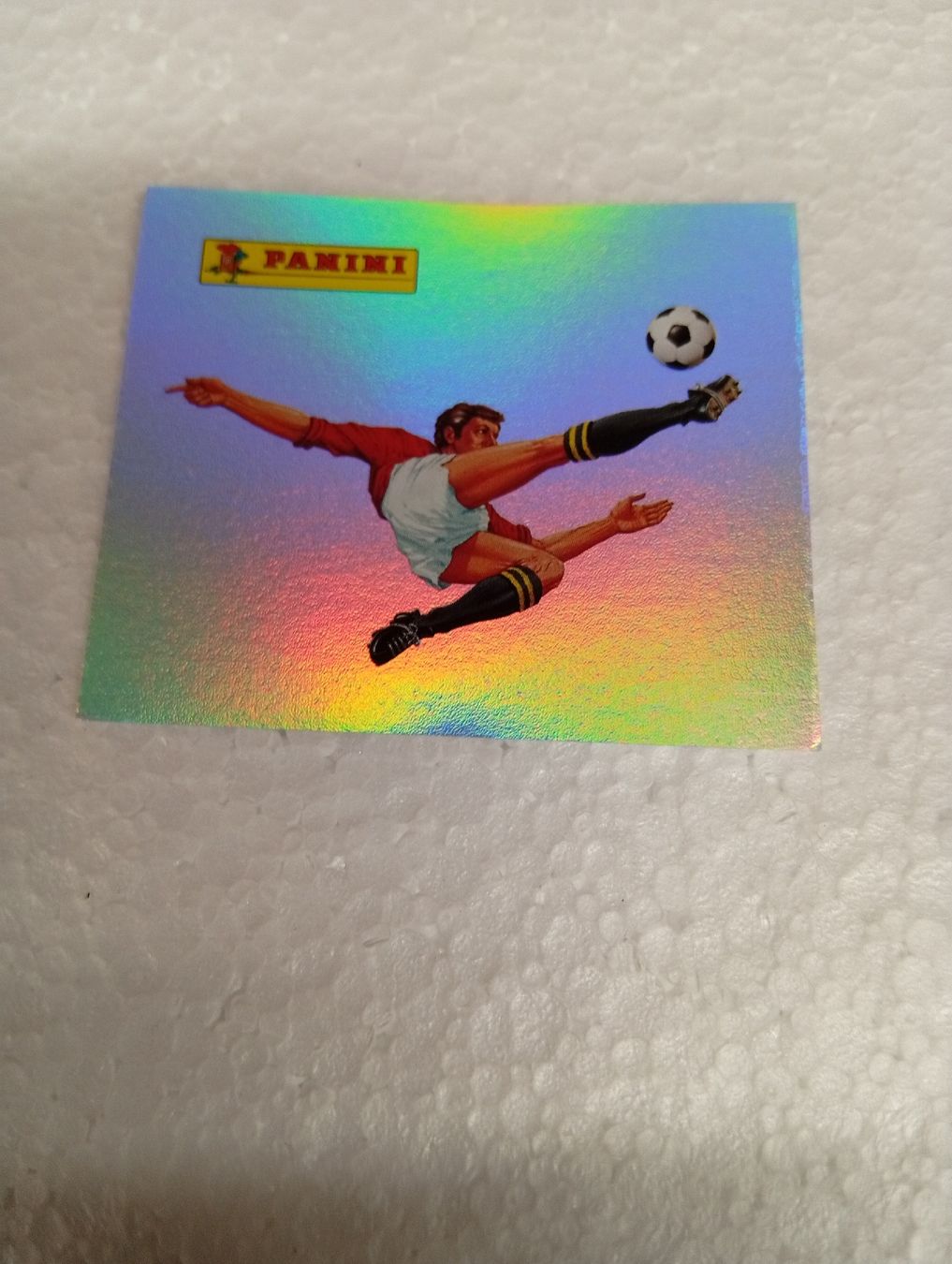 Panini Carte collezionabili: Panini Euro 2020 Logo  – Nuovo (secondo la descrizione) da Bodio TI venduto da djsep61