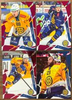 Sportzoo 25/26 - HC Davos (Pink & Blue)
