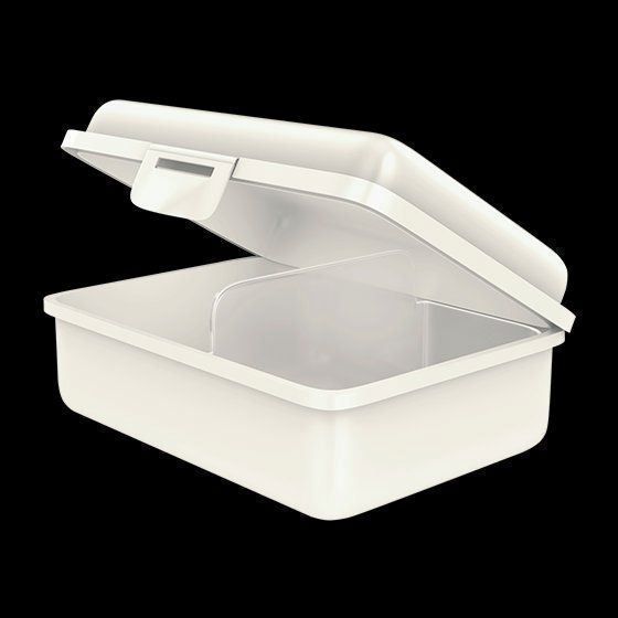 Contenitori & Simili: Fizzii Lunchbox Trennfach Schmetterling – Nuovo e nell'imballaggio originale da Walenstadt venduto da Trend-24 1