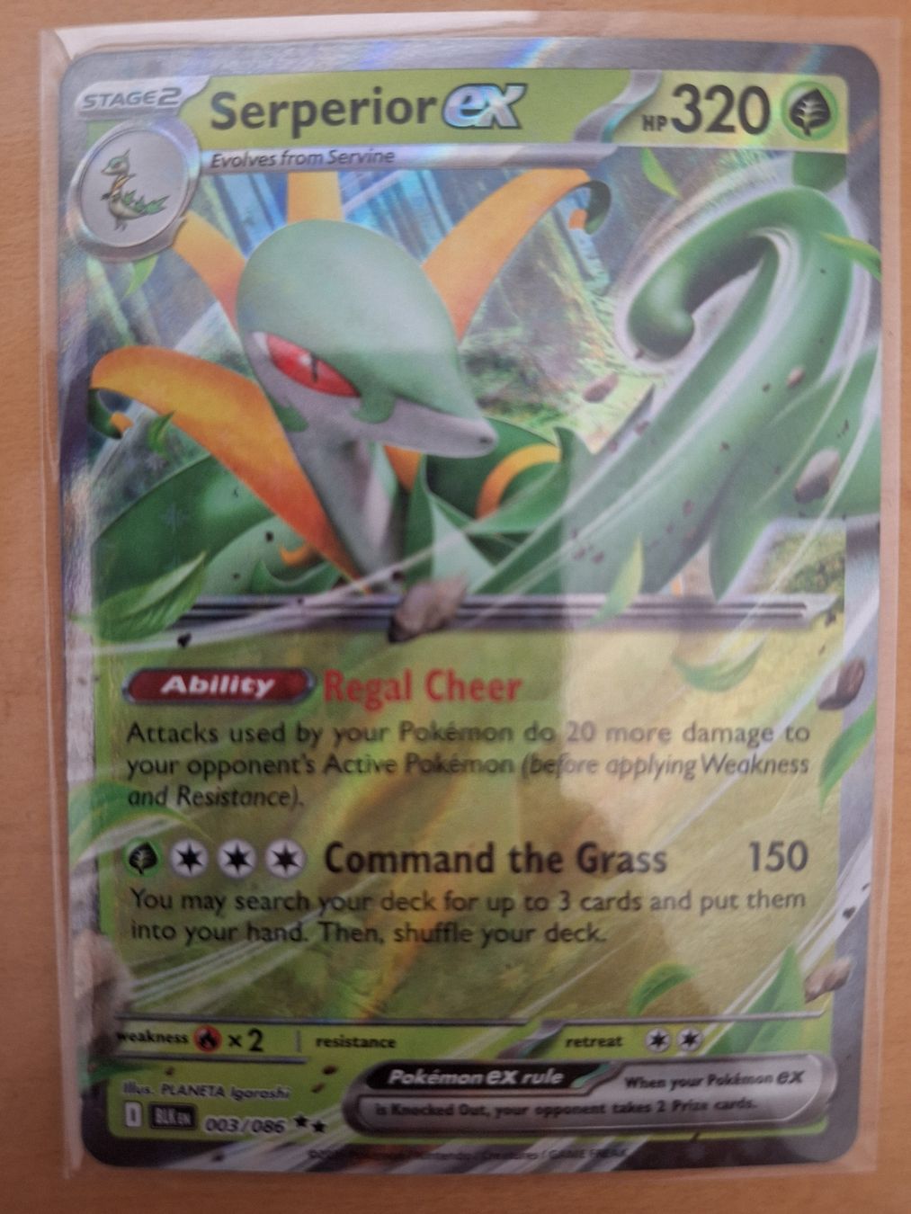 Pokémon Carte collezionabili: Diverse Pokemon EX Karten, Top Zustand – Usato da Hunzenschwil venduto da oli23 8