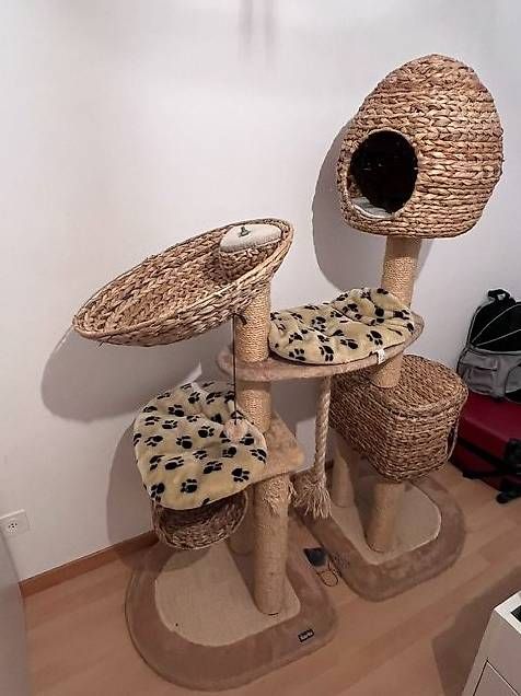 Arbres à chats: Kratzbaum   – D'occasion à Gossau Sg par olles