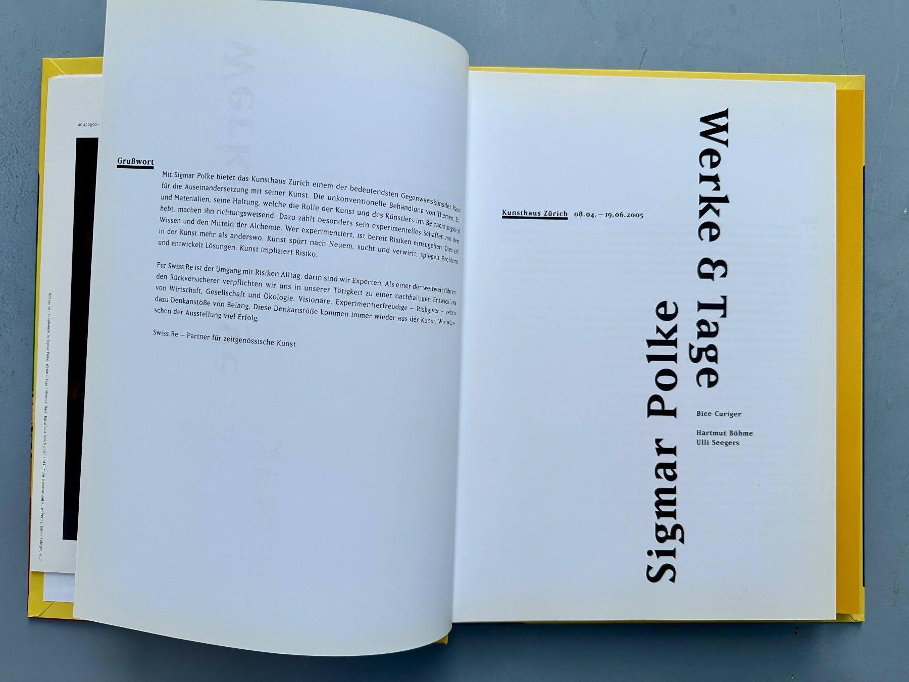 Libri: Bice Curiger: Sigmar Polke. Werke & Tage. – Usato da Zürich venduto da allp 2