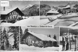 Les Rosalys s. Chatel-St-Denis en hiver