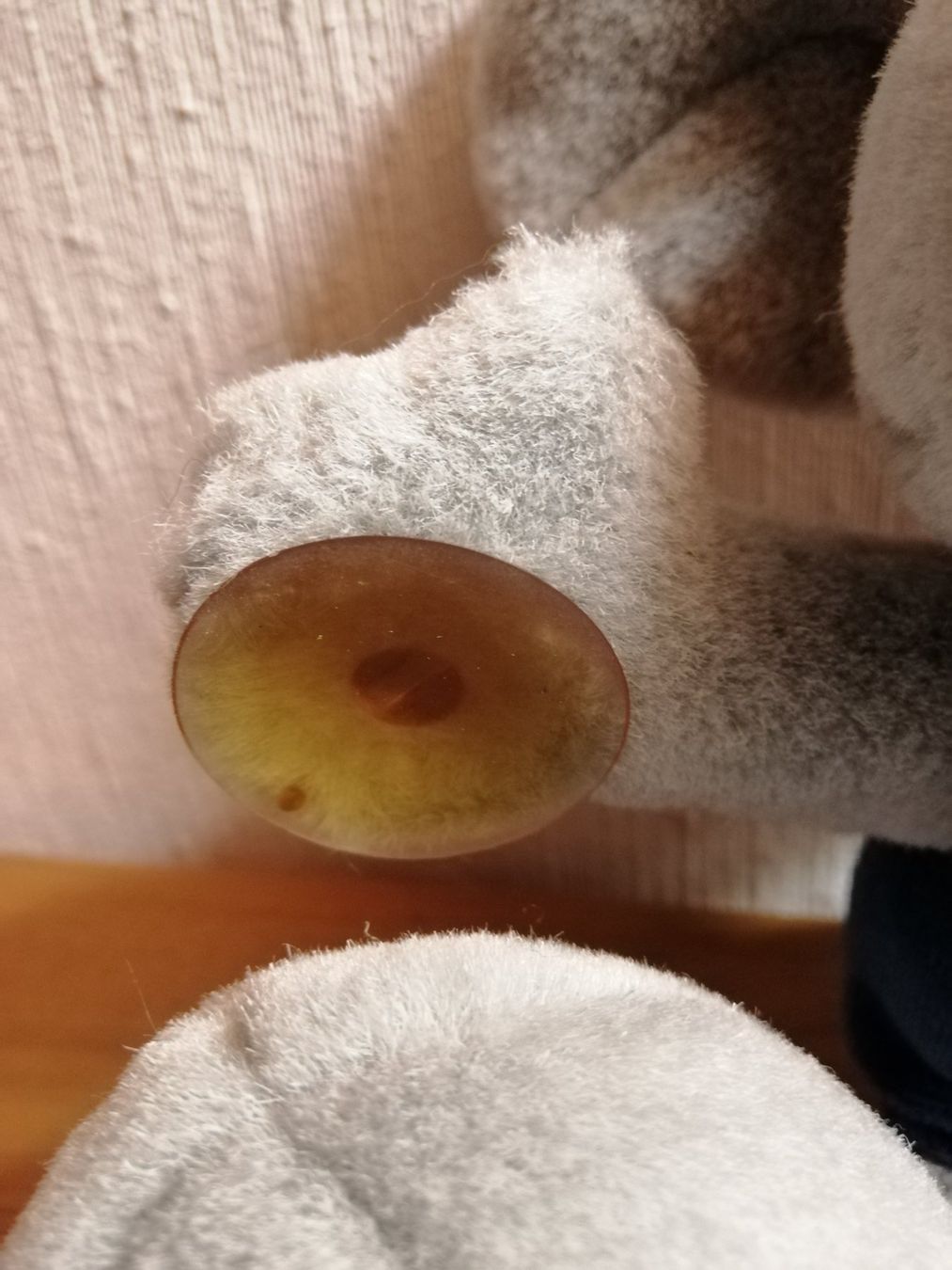 Statuette: Kuscheltier "Diddl" mit Saugnäpfen vintage – Usato da Villmergen venduto da MONCHHICHI 1