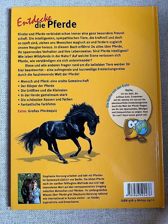 Libri: Entdecke die Pferde - Buch – Usato da Steinmaur venduto da HenSaa 1