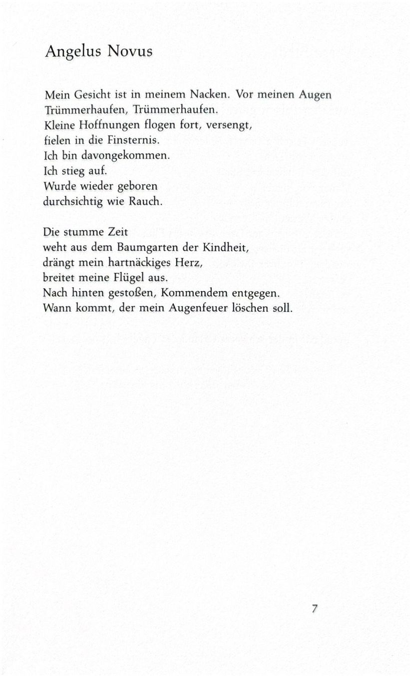 Libri: Tuvia Rübner, Wüstenginster – Nuovo (secondo la descrizione) da Sarnen venduto da Livres 7
