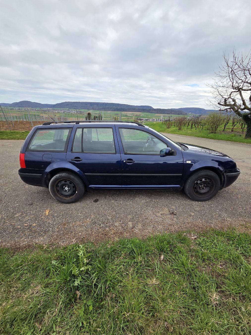VW Automobili: VW Bora – Usato da Oberhallau venduto da nic_h9mx 4