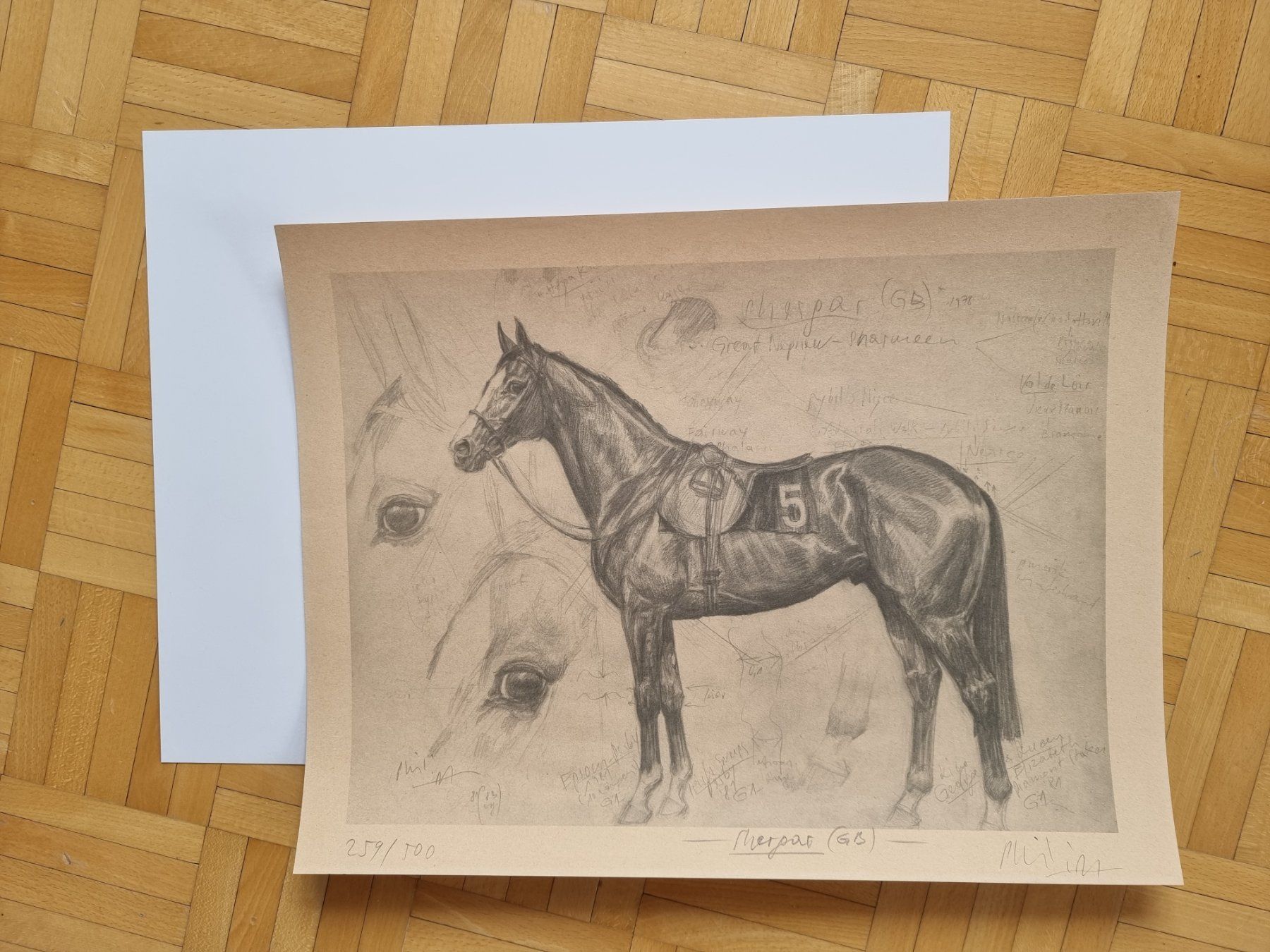 Grafica & Litografie: Klaus Philipp Kunstdruck  Shergar – Nuovo (secondo la descrizione) da Arosa venduto da horseracing