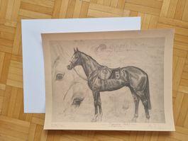 Klaus Philipp Kunstdruck  Shergar