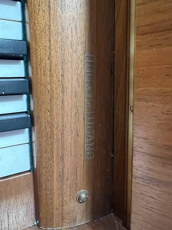 Musikinstrumente: Pianoforte Steinway & Sons – Gebraucht aus Novazzano von inf_z8jm 6