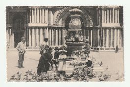 AK Venezia - Piccioni alla Porta della Chiesa S. Marco