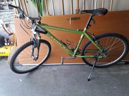 Arrow Seminole Mountainbike Gruen 