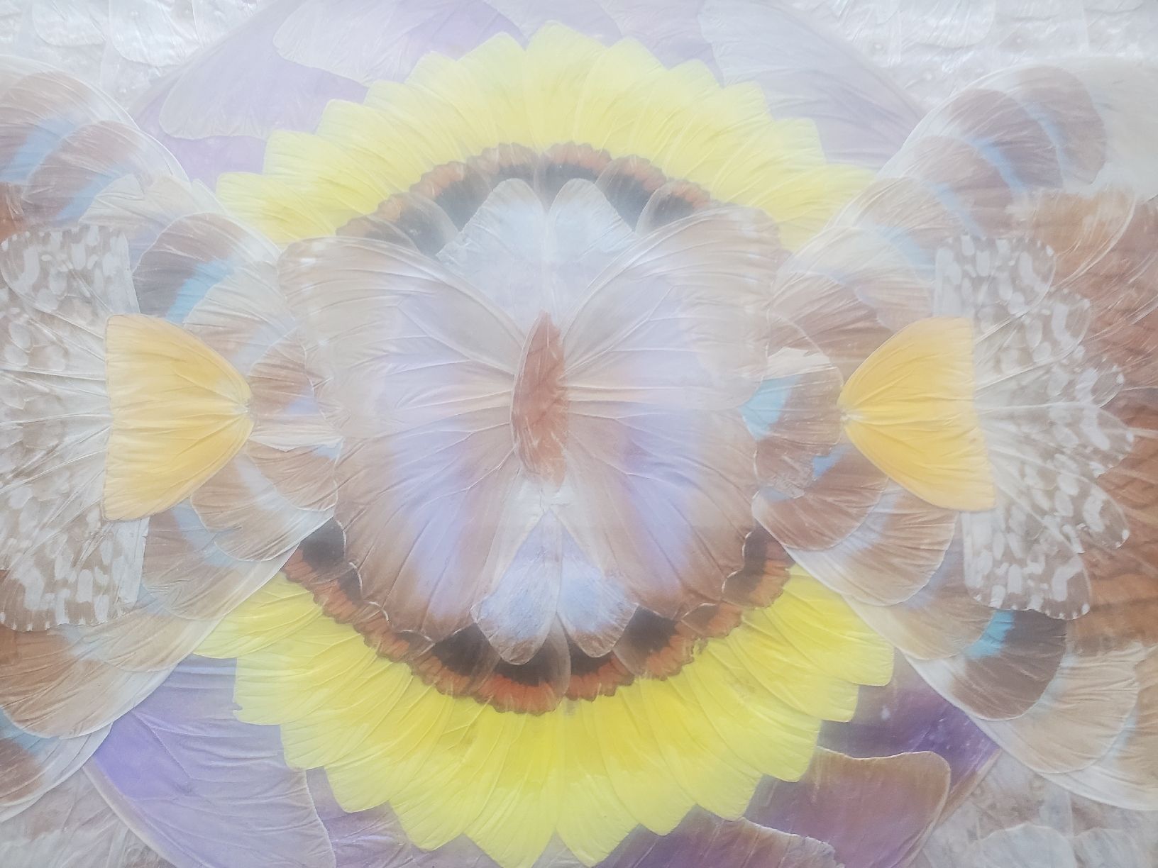 Dessous de verre: Antikes Schmetterlingsflügel-Tablett – D'occasion à Frauenfeld par BeneFull 2