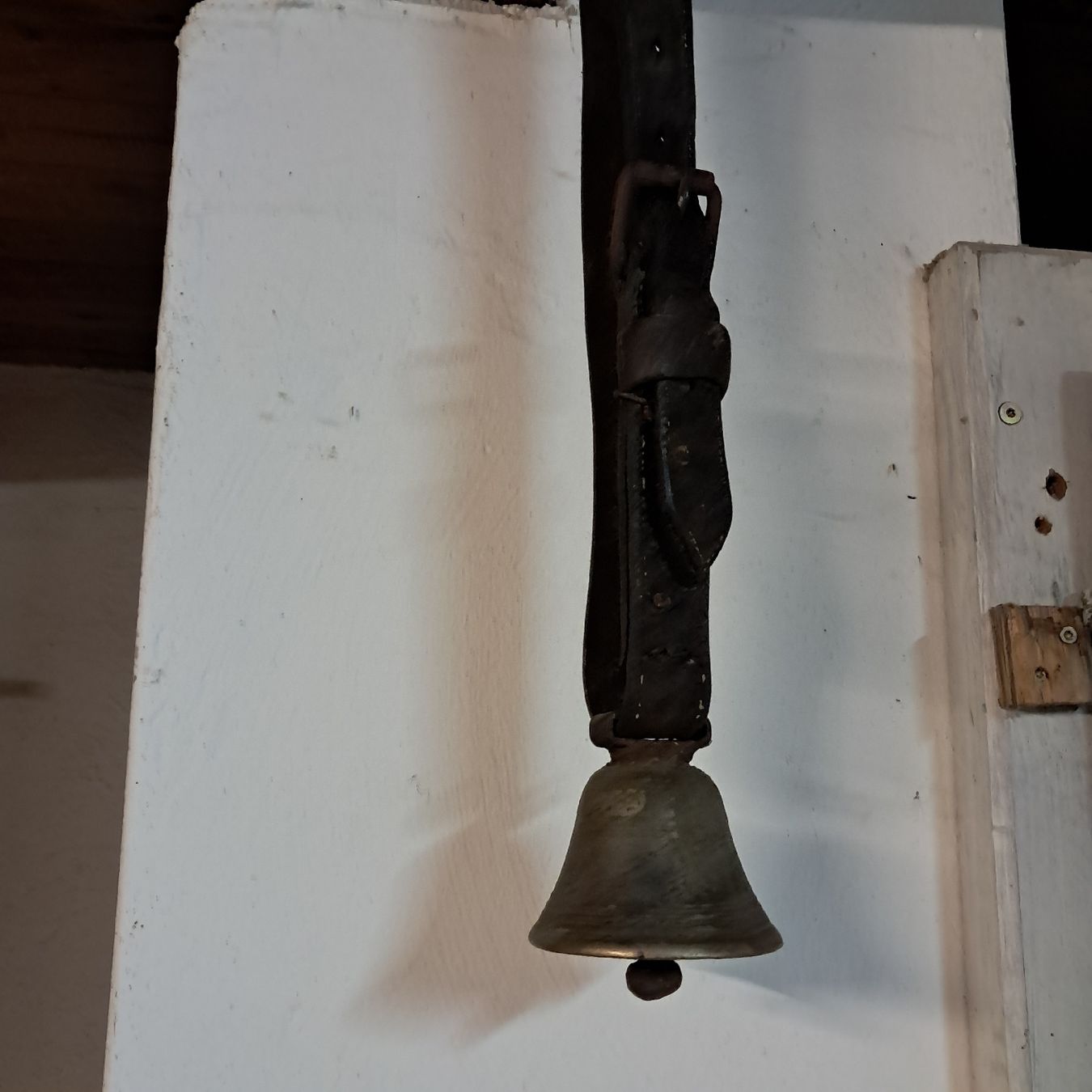 Campanacci mucche: Sehr Altes Glöggli  – Usato da Murten venduto da SHETHOF