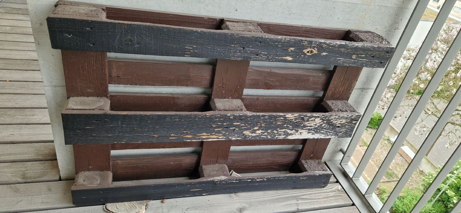 Pallets: Europaletten – Usato da Rüti ZH venduto da sus_5dyv 1