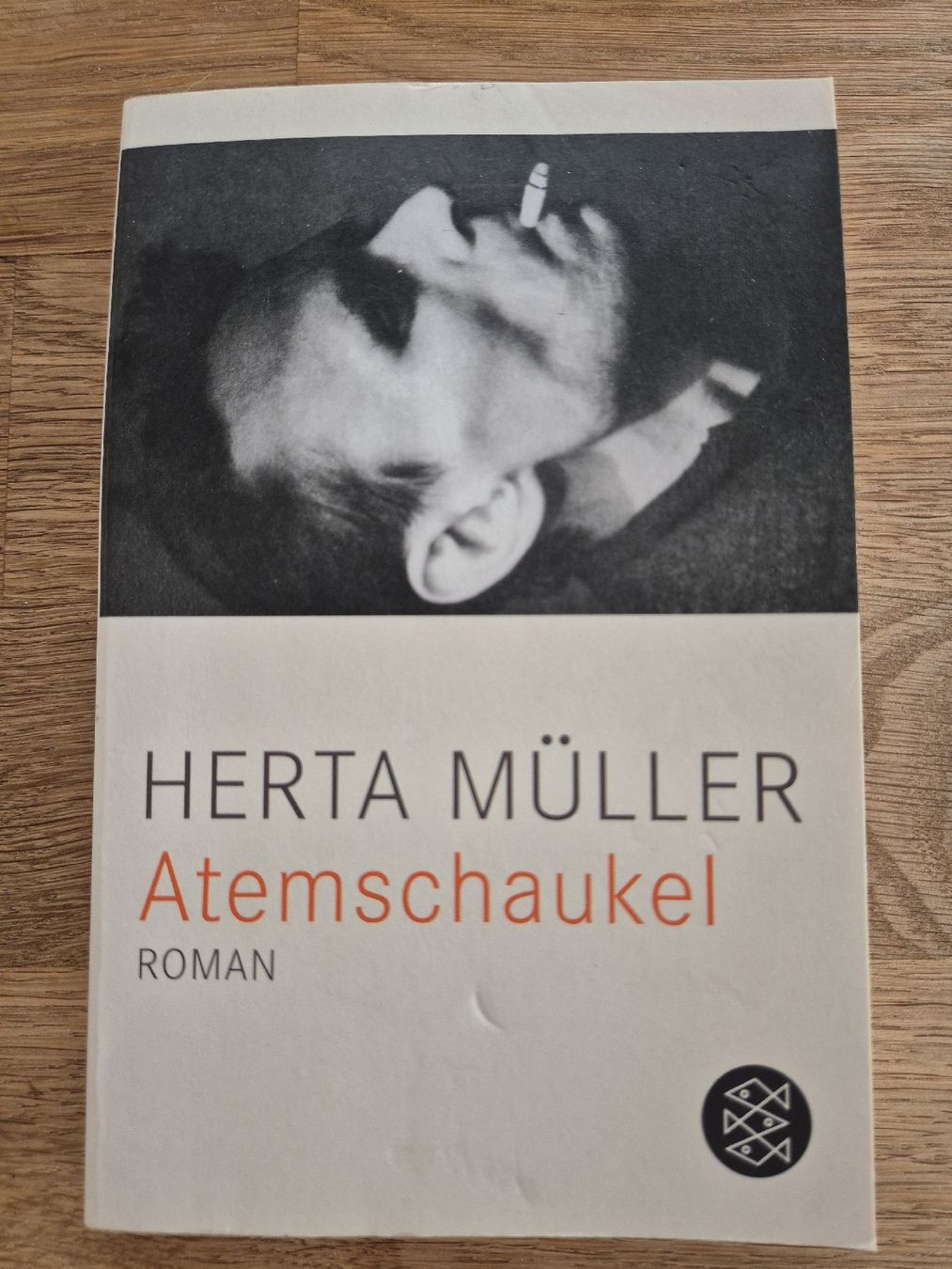 Libri: Herta Müller Atemschaukel – Usato da Amriswil venduto da noe_z7wn