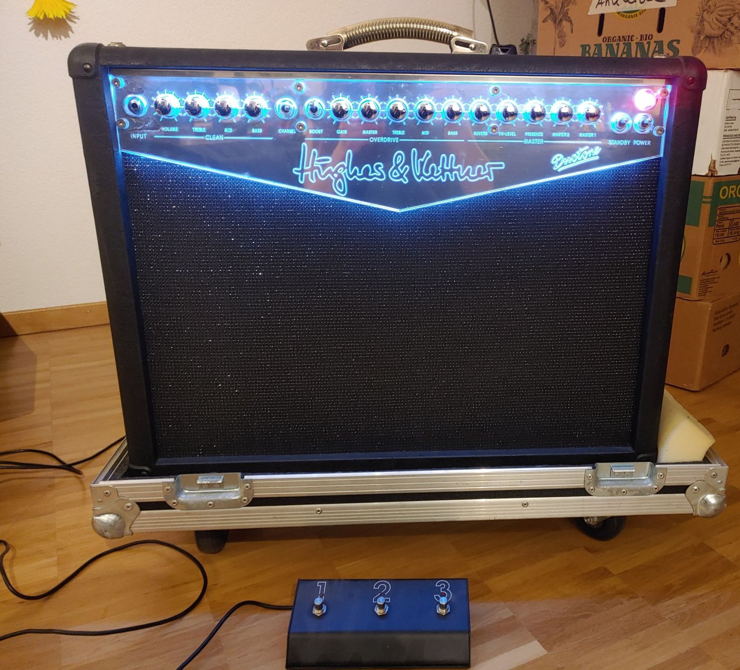 Hughes & Kettner Verstärker: Guitar Amp Hughes & Kettner Duotone Combo – Gebraucht aus Frauenfeld von rae_b9zy