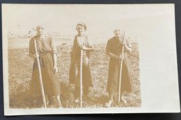 Landwirtschaft/Frauen bei der Feldarbeit, Fotokarte ca. 1929